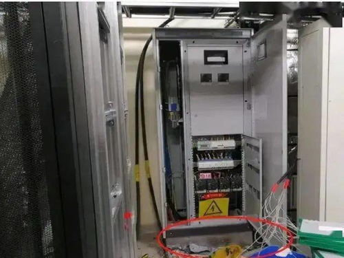 害人害己 麻痹違章不理會,危險就在咫尺間